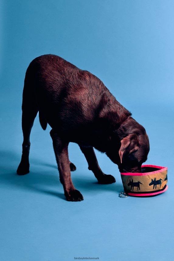 Bimba Y Lola lola logo kæledyr vandskål 46TD4J969kaki